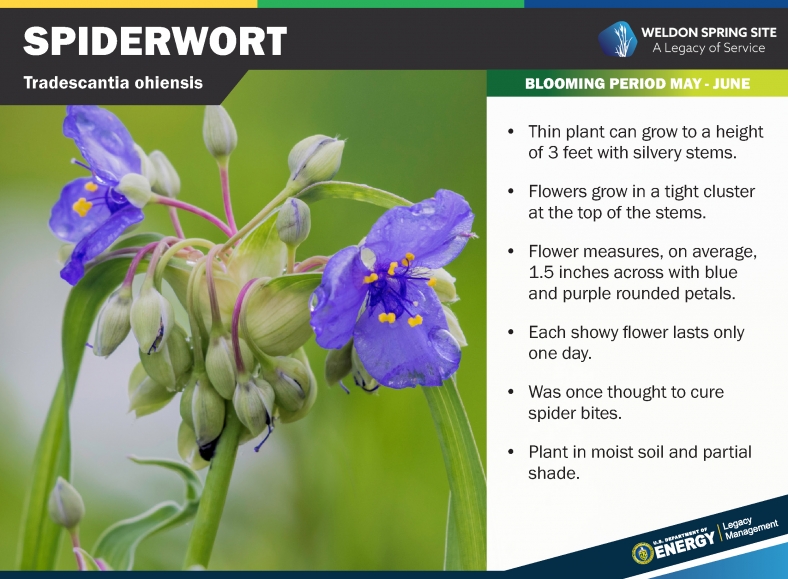 Explore the Weldon Spring Site Interpretive Center Department of Energy